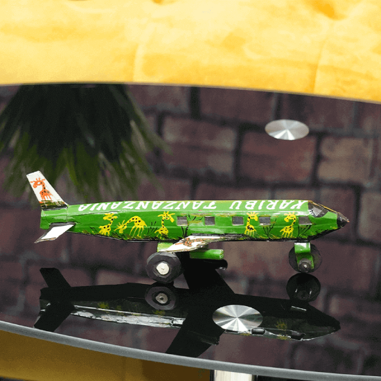 Picture of Green Tanzania Plane