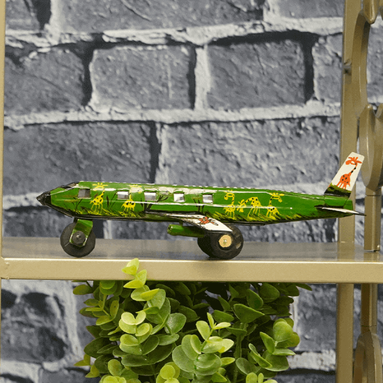Picture of Green Tanzania Plane